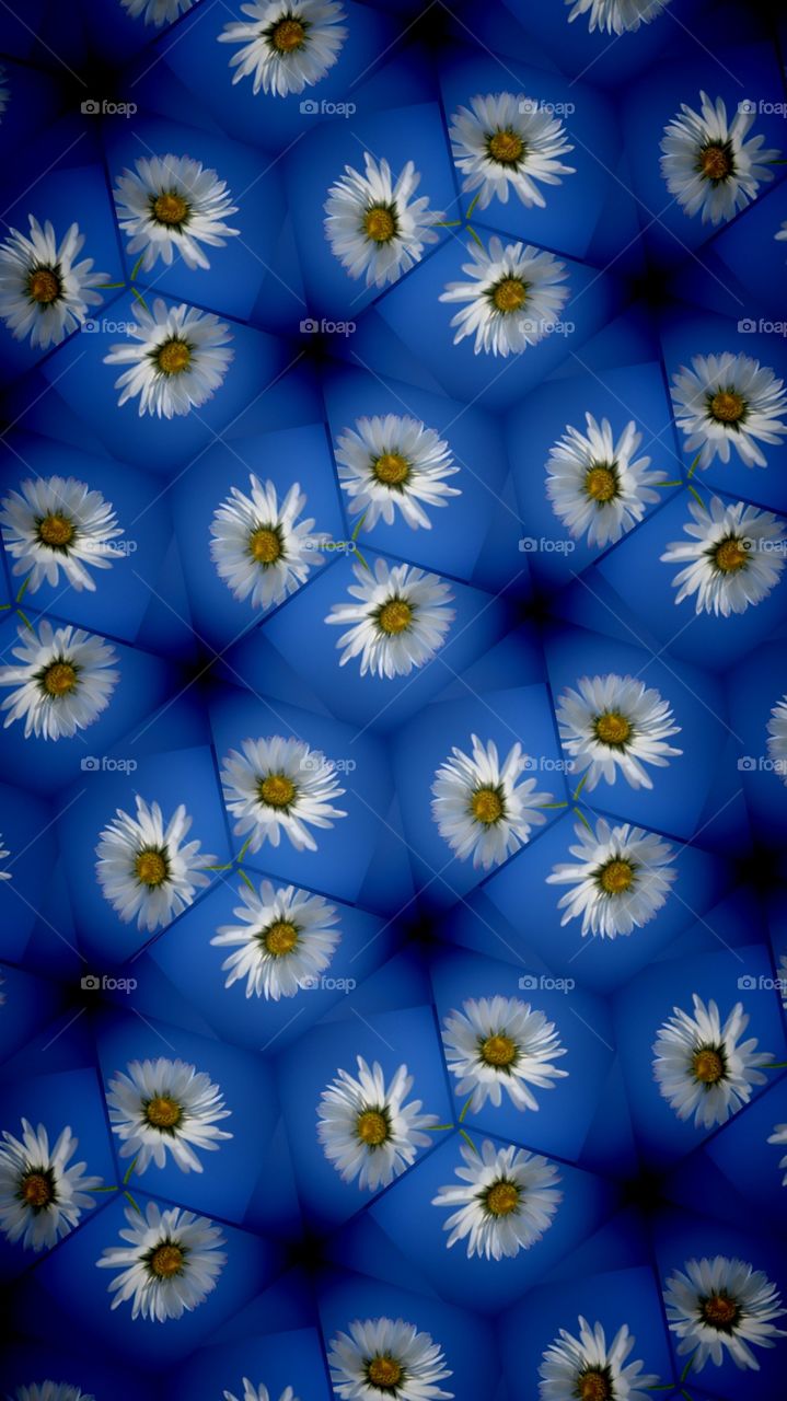Flower Kaleidoskop 
