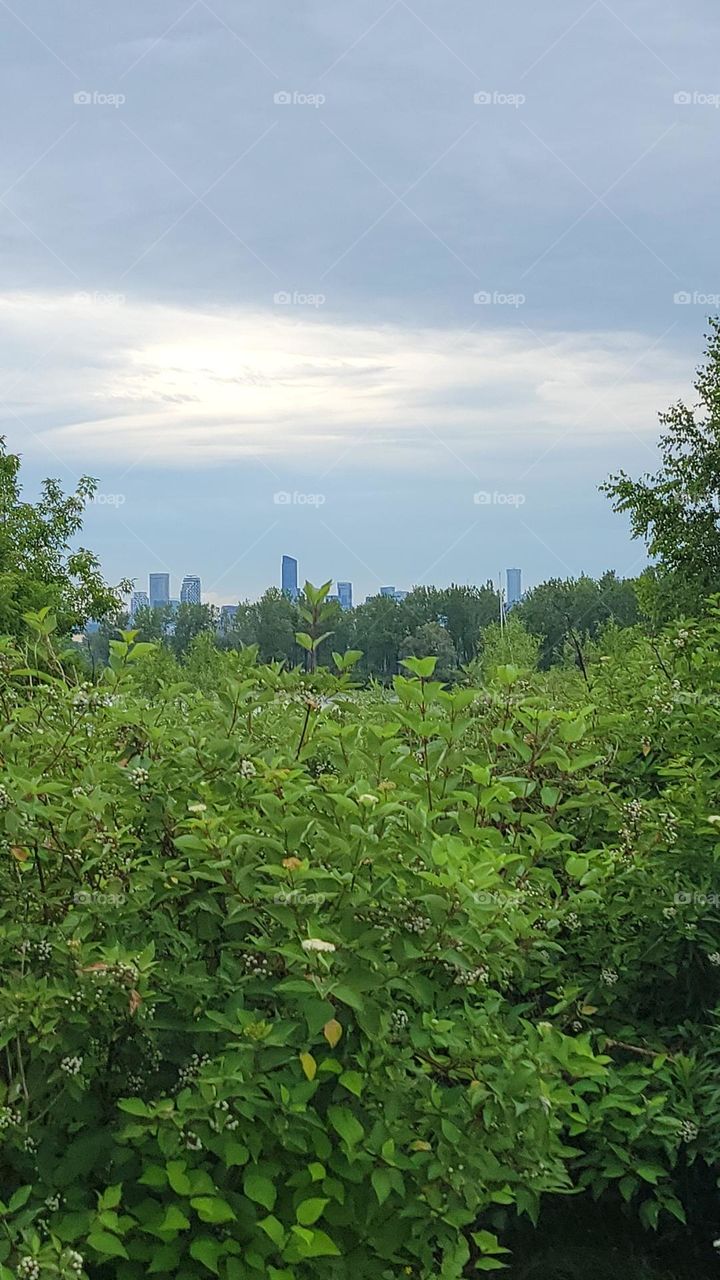 View of Toronto from Center Island