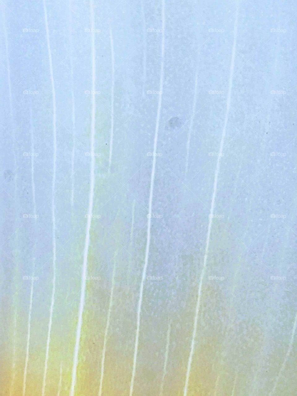 Flower Petal Texture