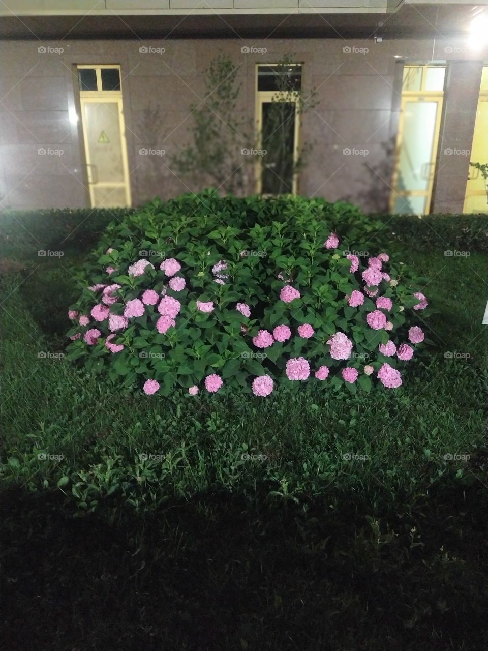 O Allah, You are free from all guilt. All health and thanks are from You. Glory be to You, O God of Glory and Power.

In general, every time the Ayatollah recites the Qur'an after the prayer, and the tasbeeh is recited, the reward is great.