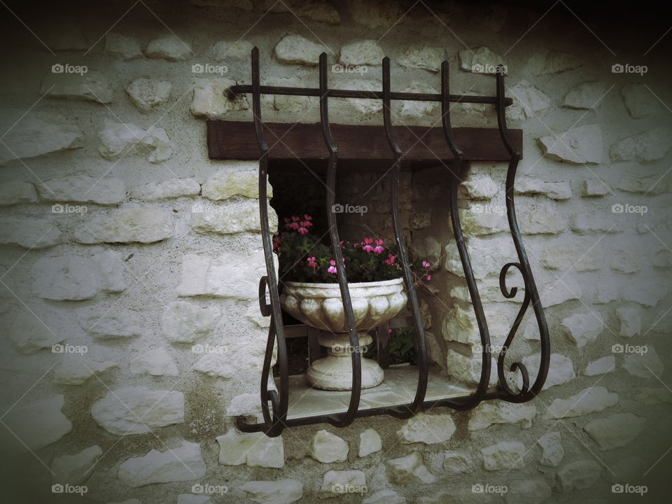 flowers in prison