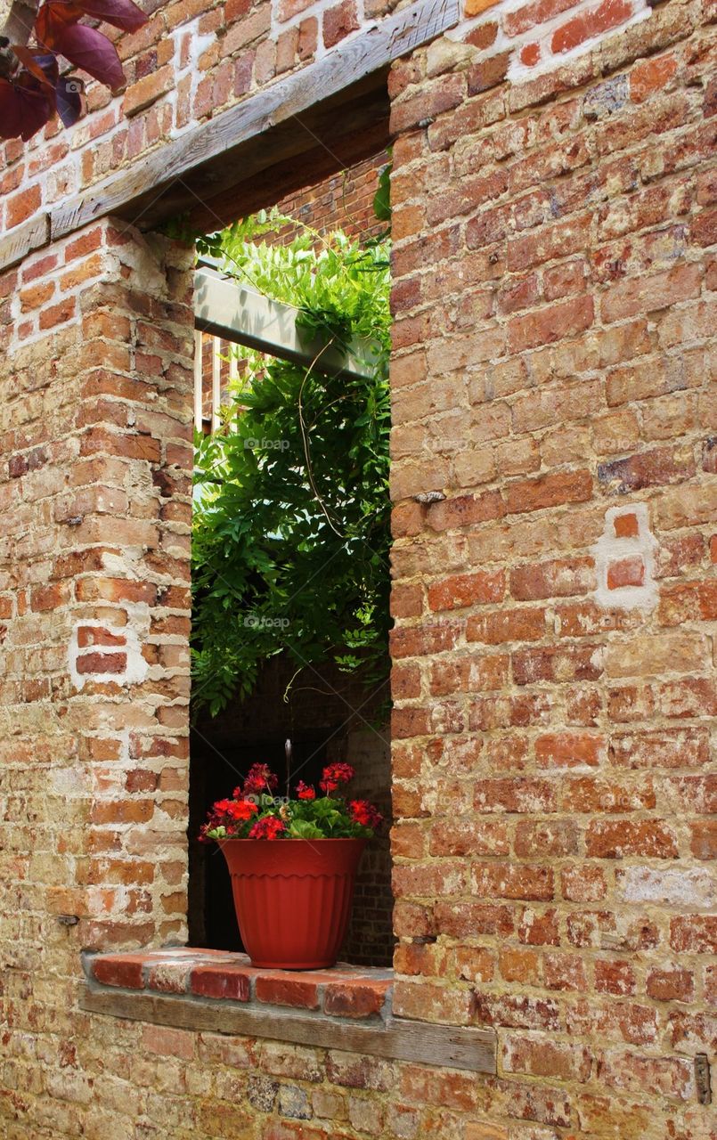 Potted plant on brick window