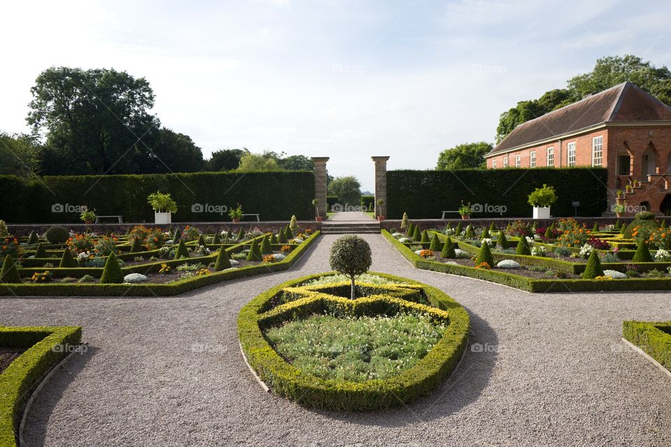 Garden, Flower, Lawn, Home, Hedge