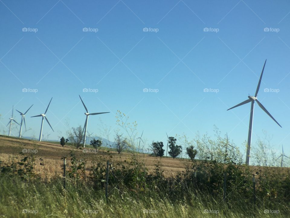 Windmills 