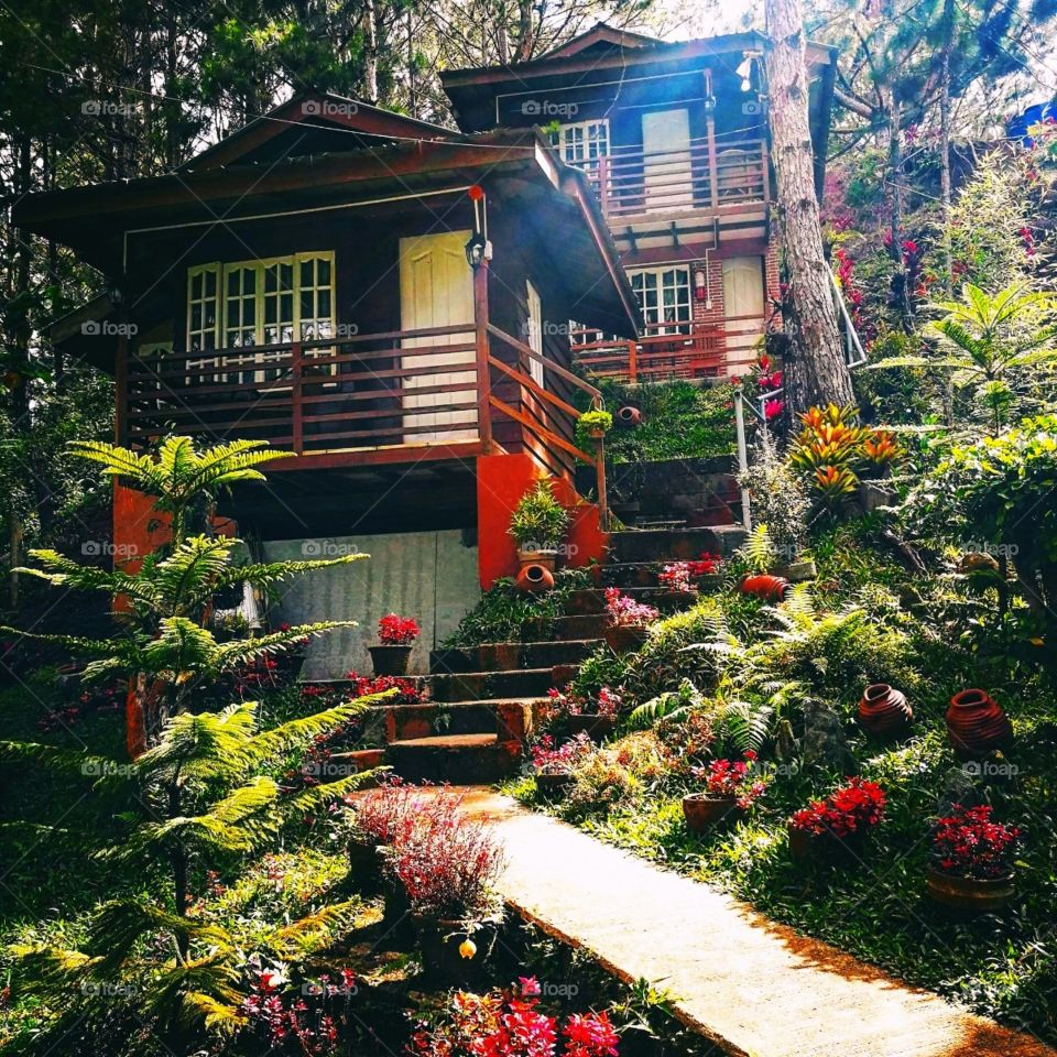 colorful cabin with colorful flowers all around. very beautiful sunshine
