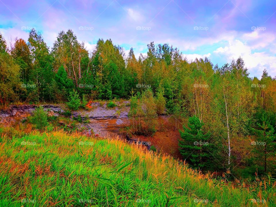Autumn forest on a cliff