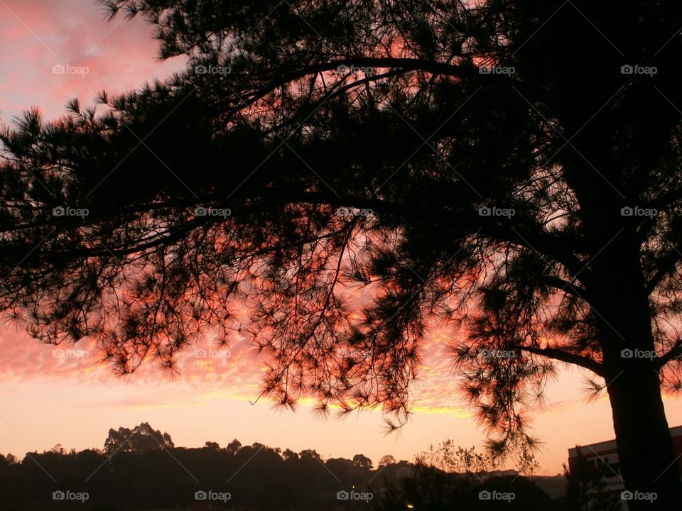 Beautiful sky on sunset. Bento Gonçalves,  RS,  Brasil.