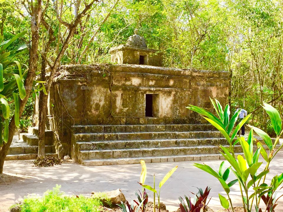Mayan Ruins in Mexico 