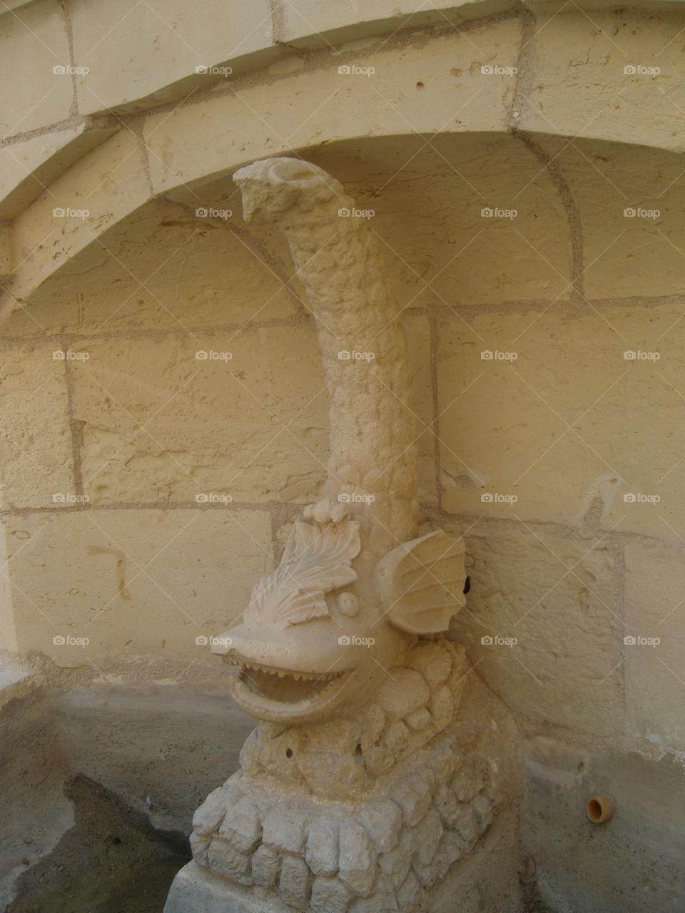 Fish like creature fountain