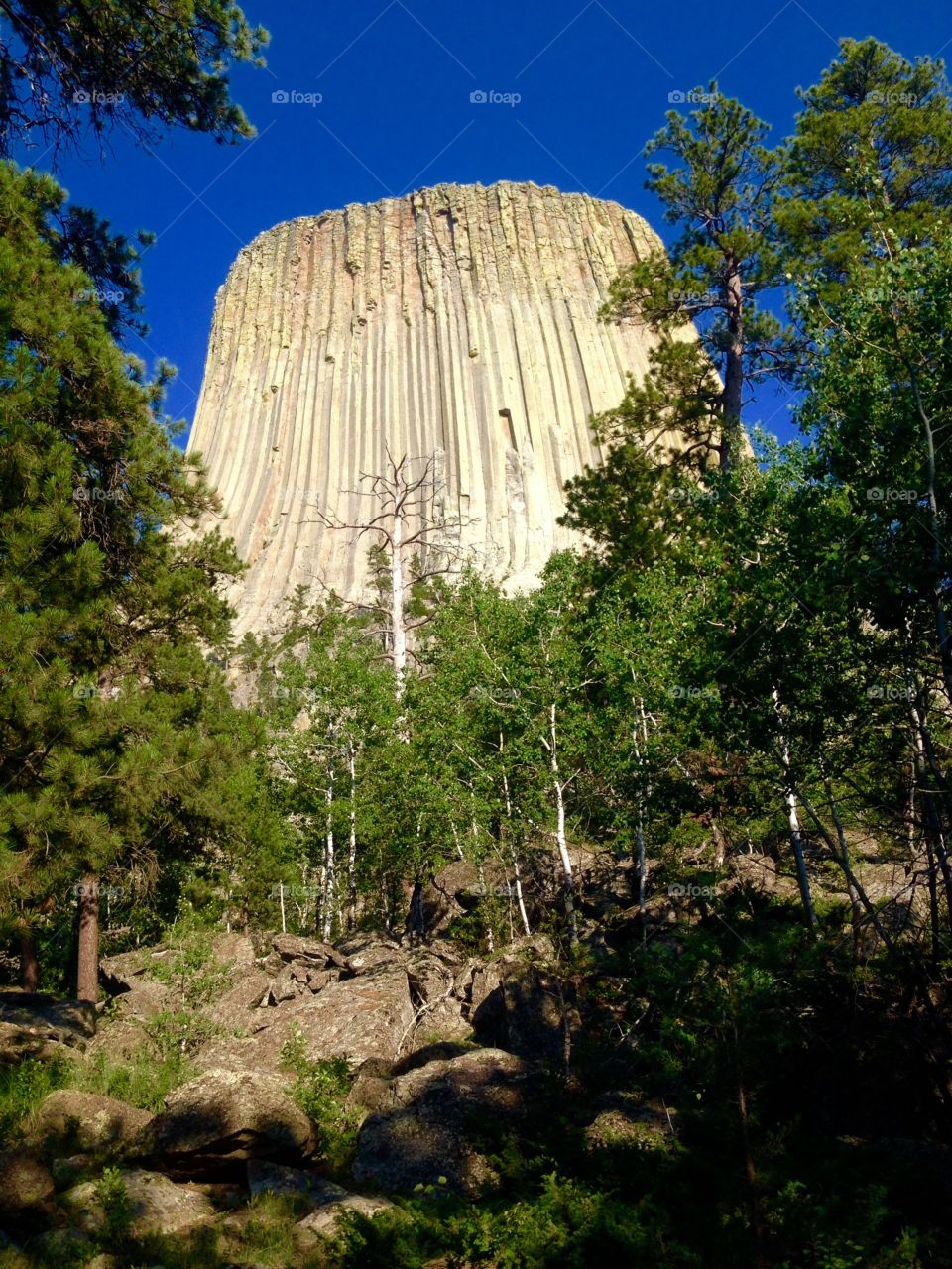 Devils tower. Wyoming national monument 