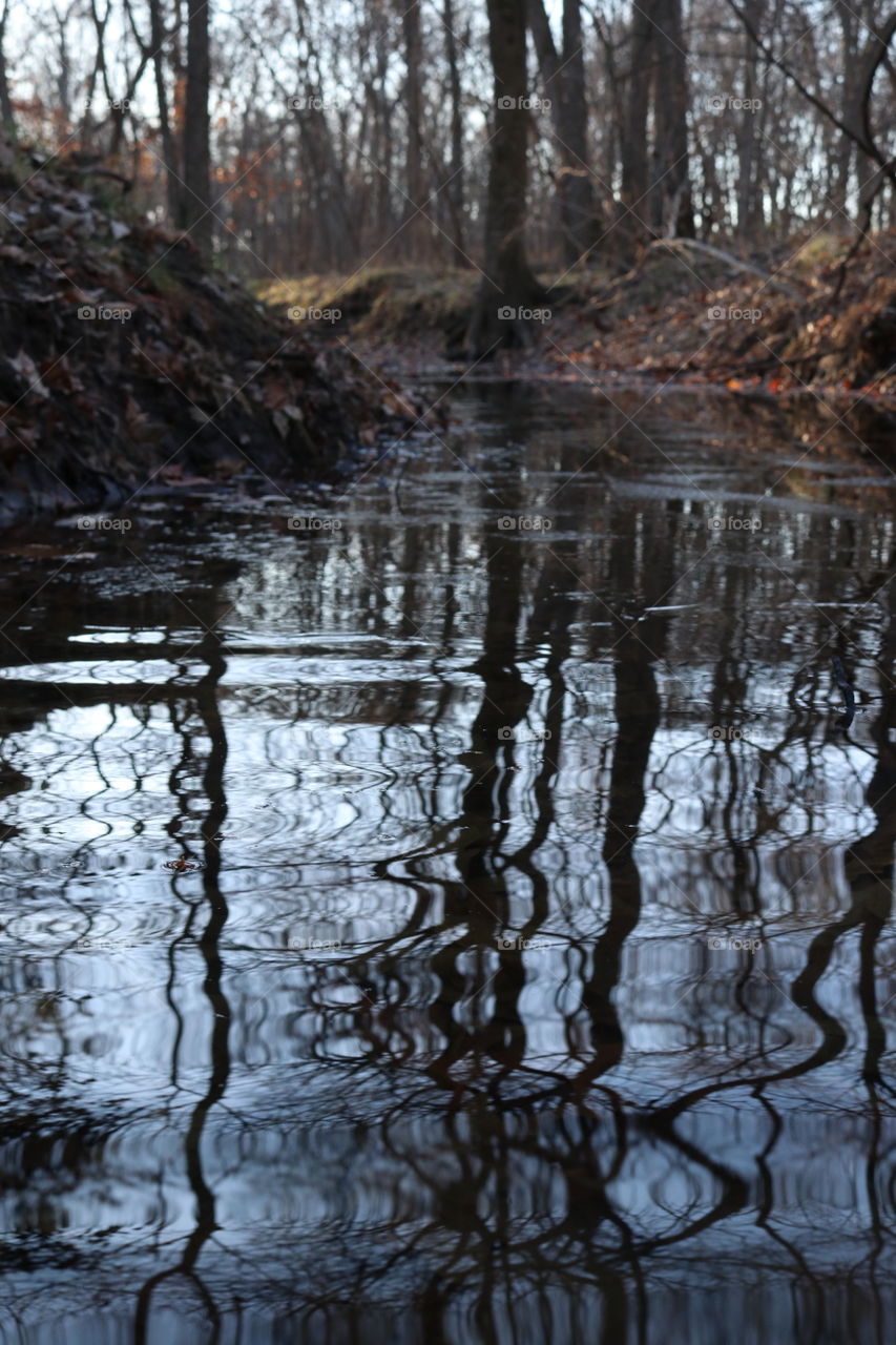 Rippling water in the trees.
