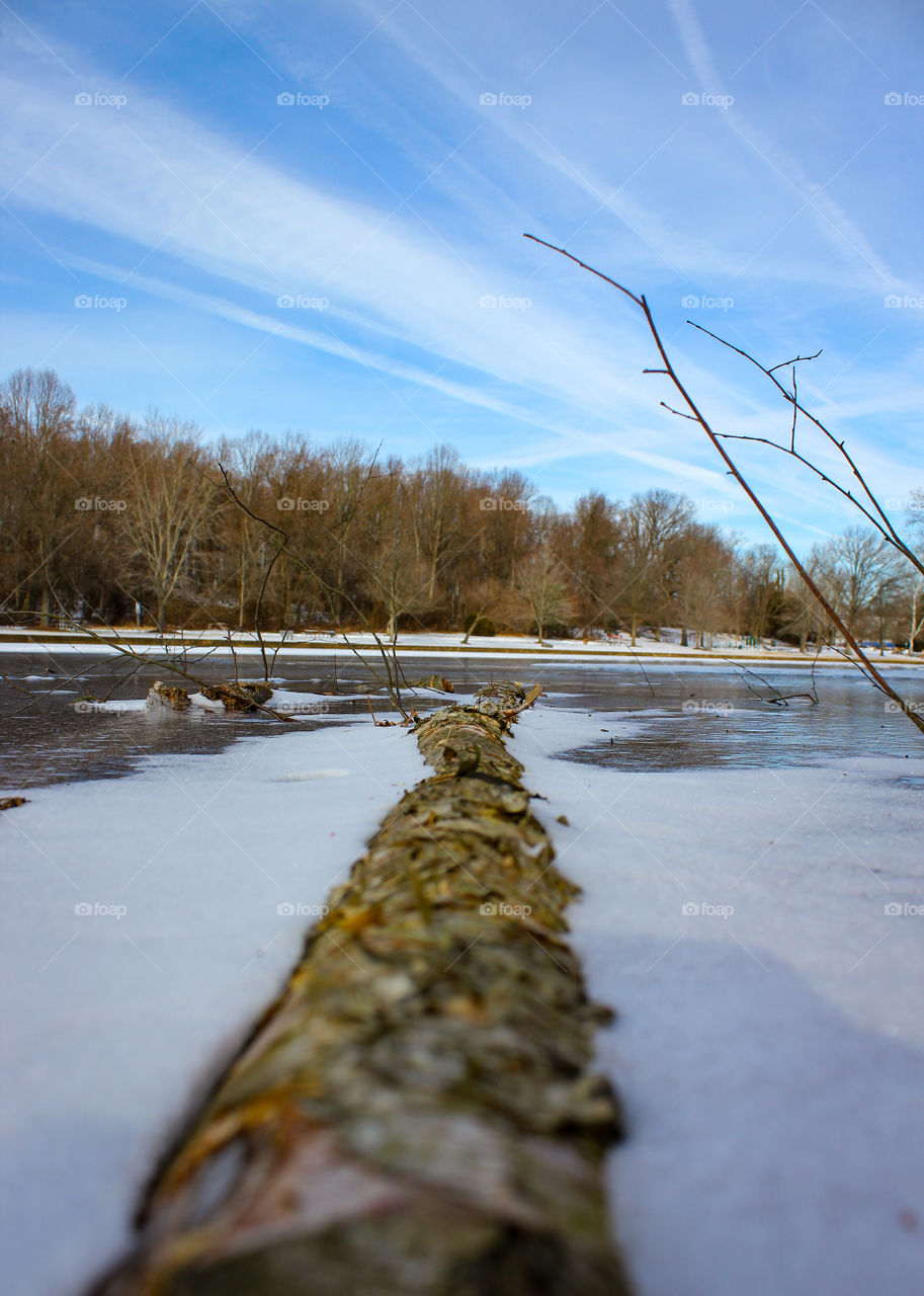 Frozen Pond with Patches of Snow and Submerged Tree Branches