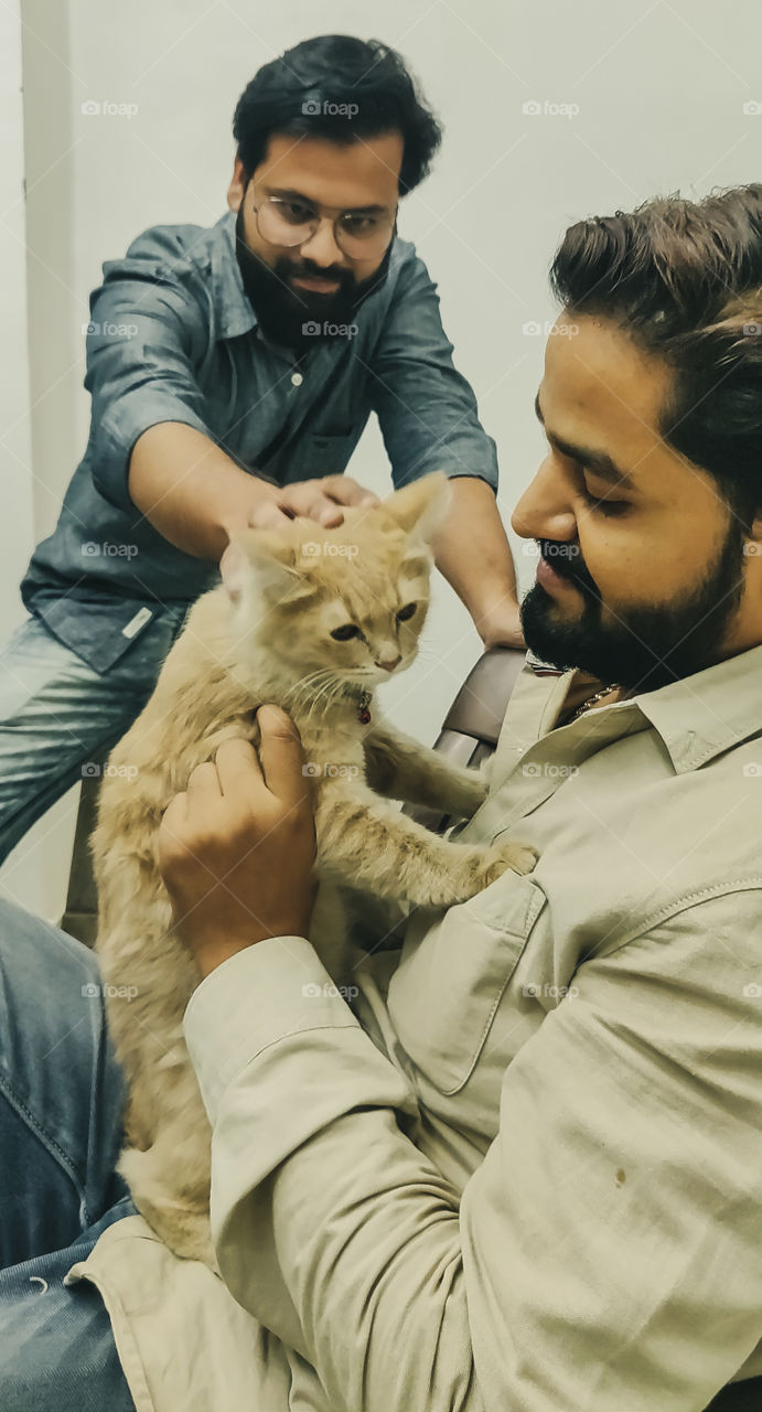 Beautiful cat playing with family