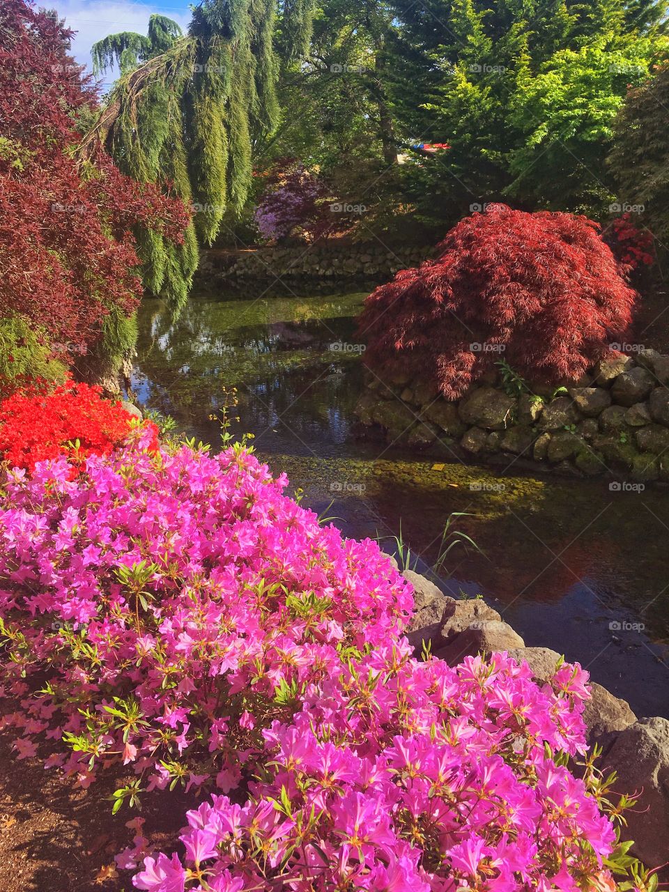 Floral Gardens