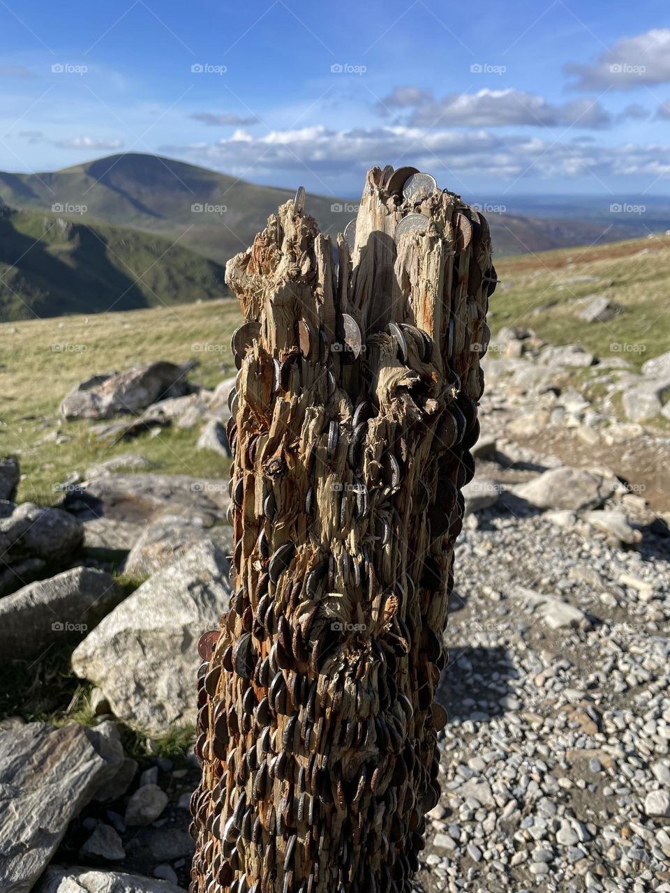 Wooden stump with coins pushed in by passing hikers 