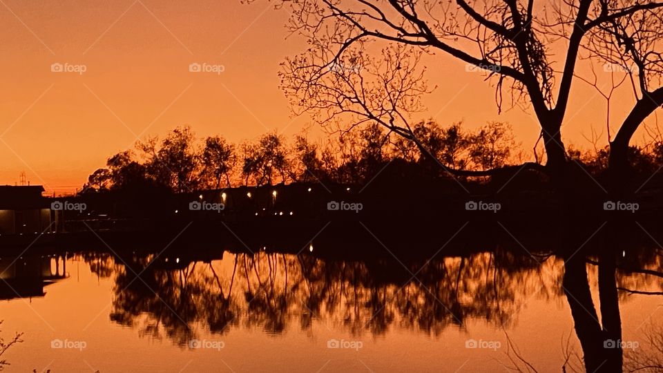 Clear Sky Sunset having Orange Colors Building after Sundown. Reflections from Shore Trees Covering Lake Waters with this Gorgeous Finish on the Evening.