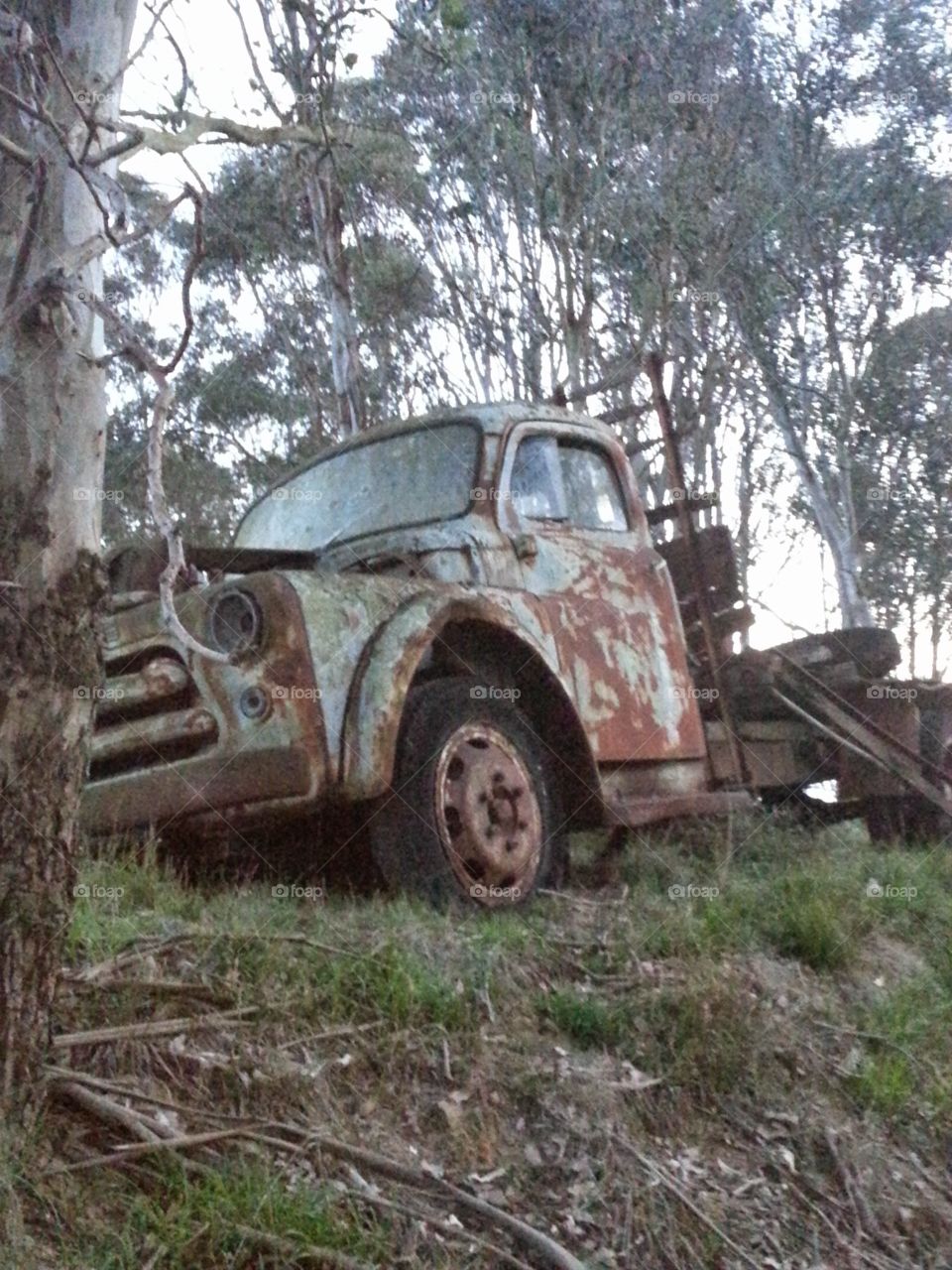 An old rusty Dodge