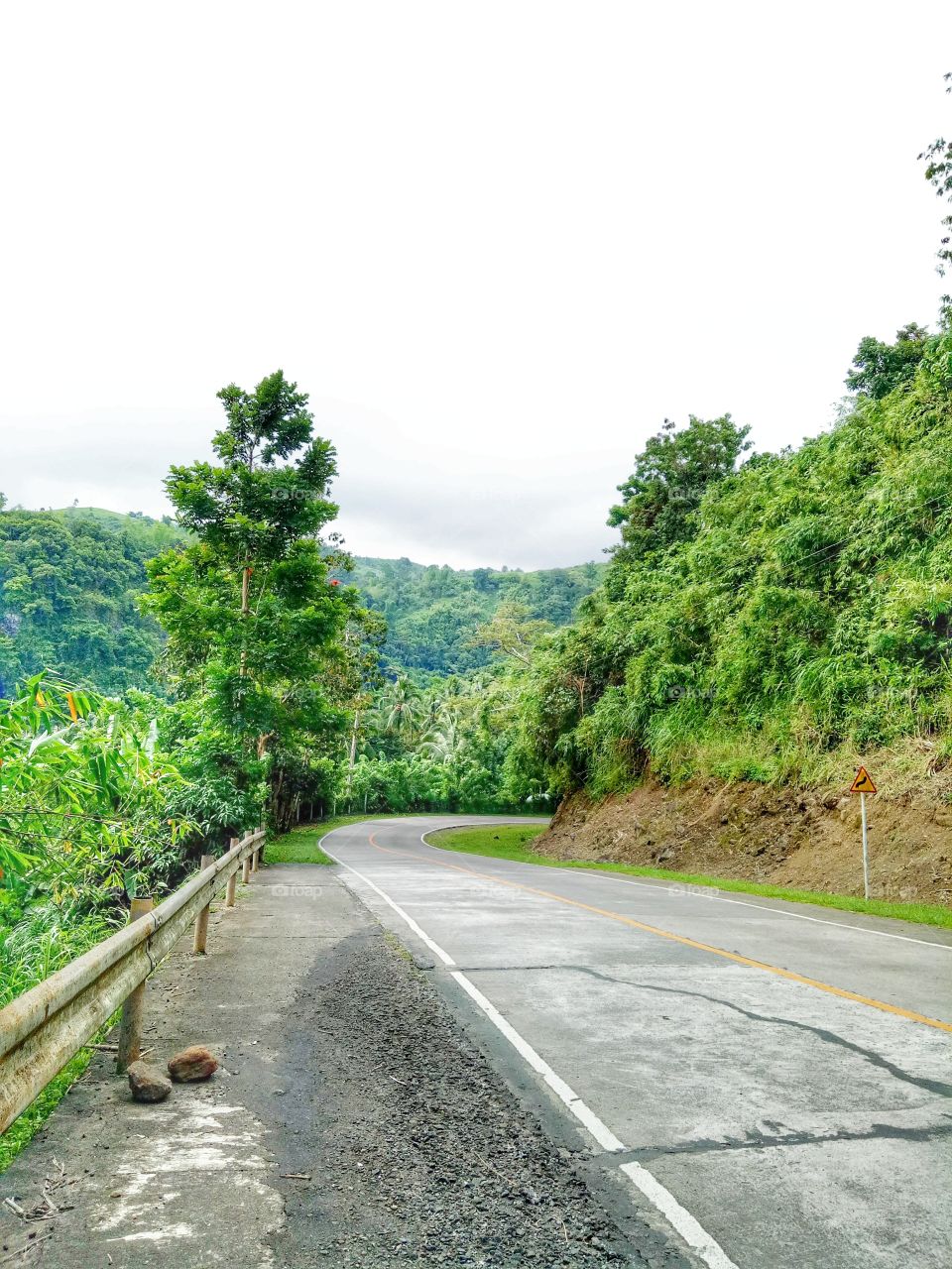 nature lover 💚💚💚