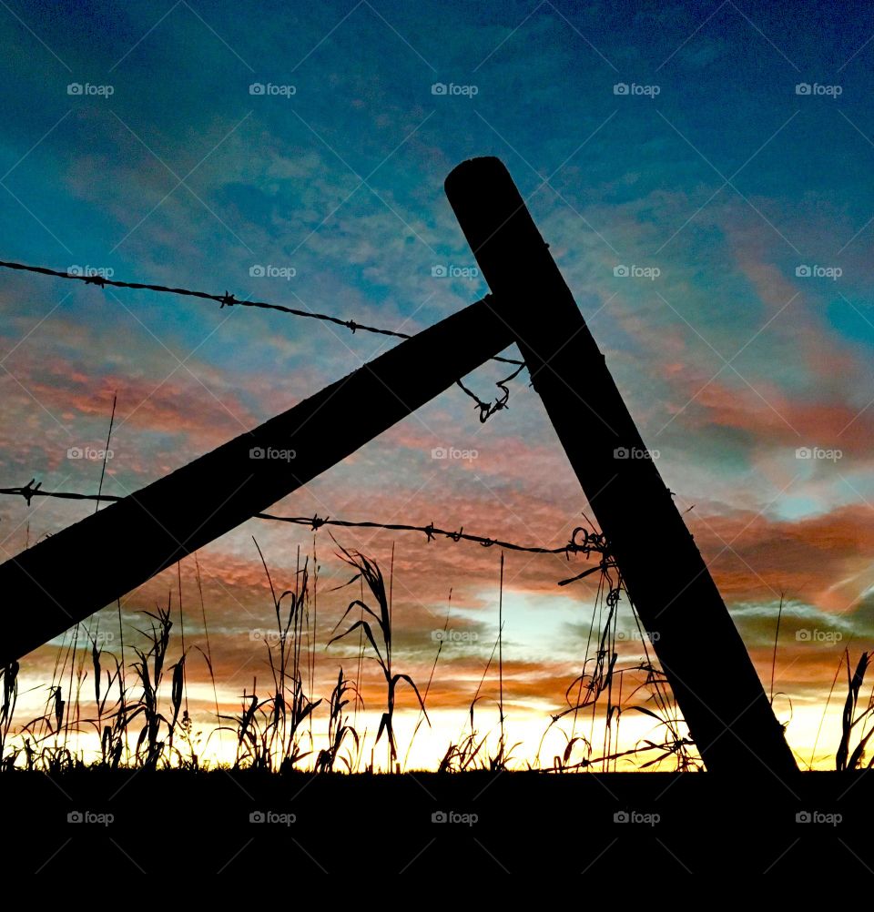Barbed wire fence in the sunrise 
