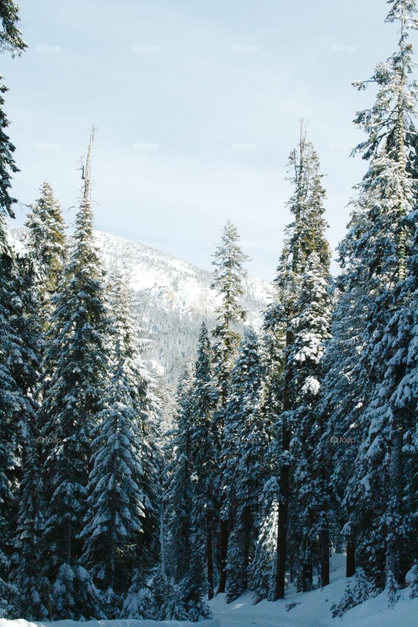 Winter mountain landscape 