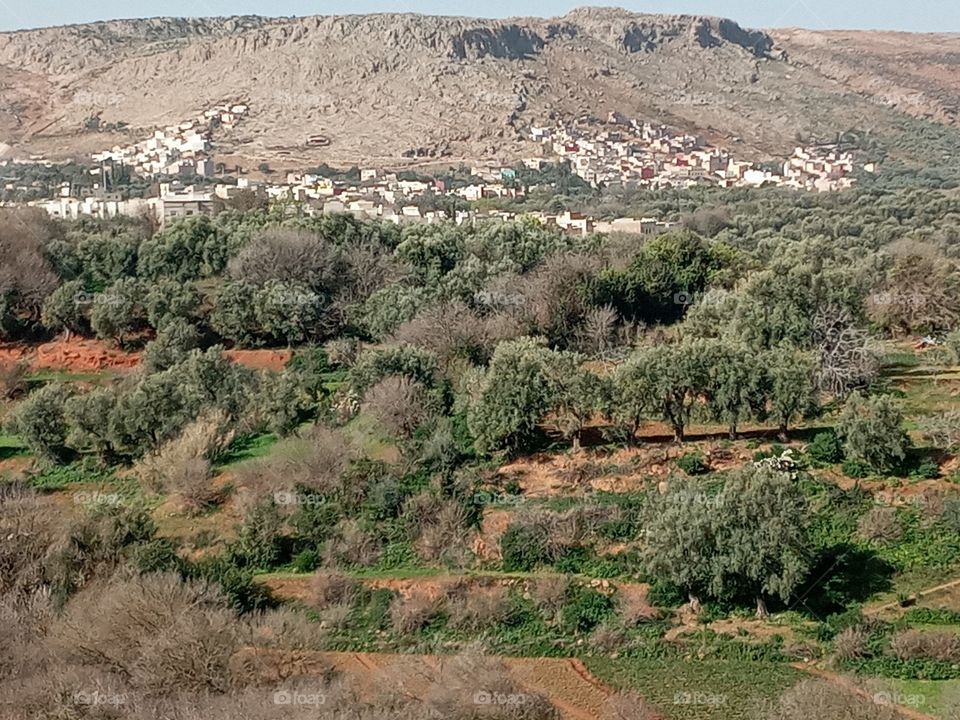 Population between the nature