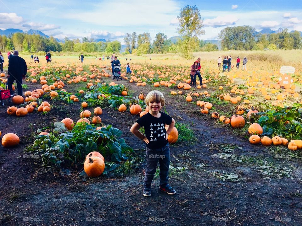 At the pumpkin patch 
