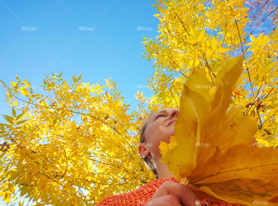 Autumn sky of blue and nature in yellow