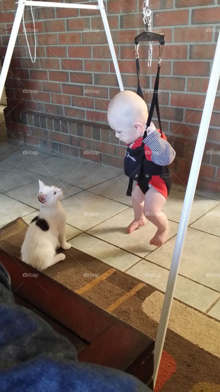 Love at first sight. Moo & my son staring deeply into each others eye's.