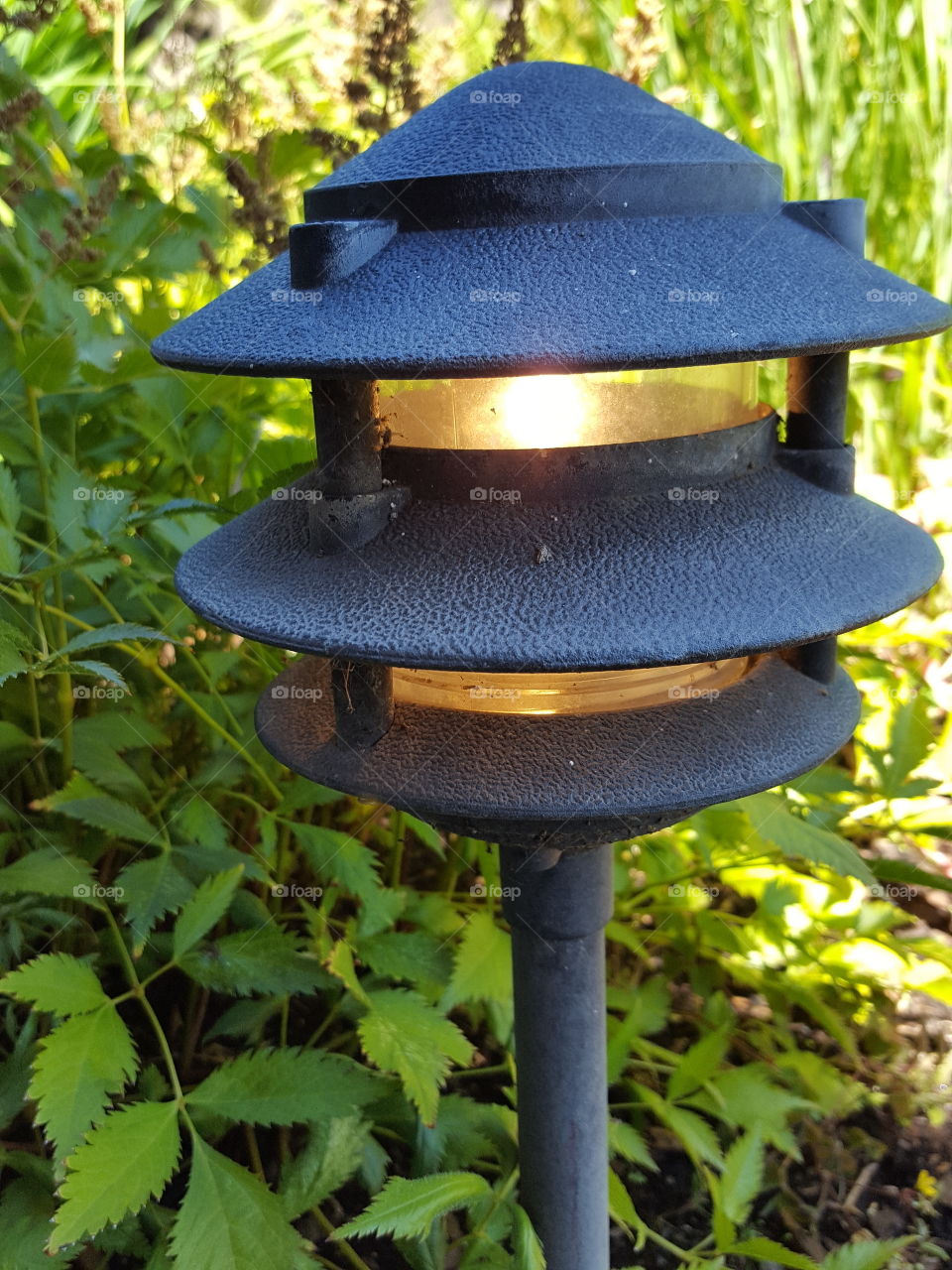 lantern