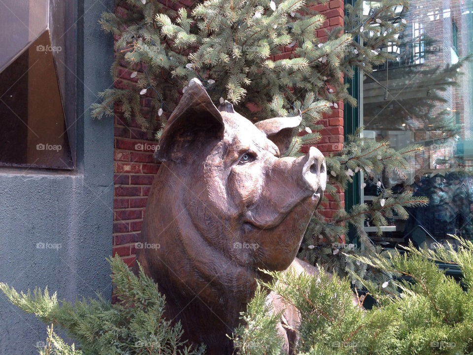 Pig Sculpture