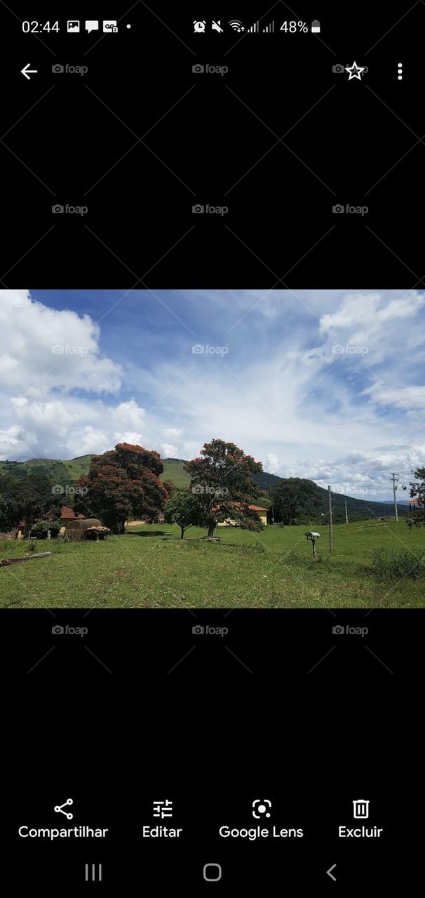 verde e sempre lindo