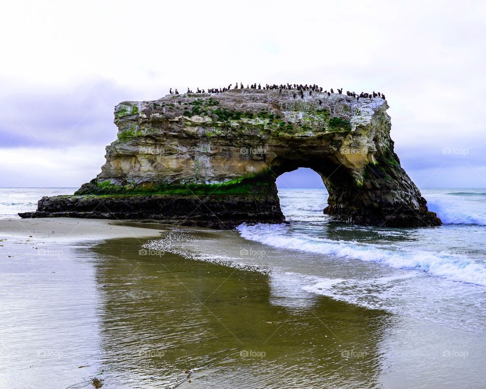 Natural Bridges