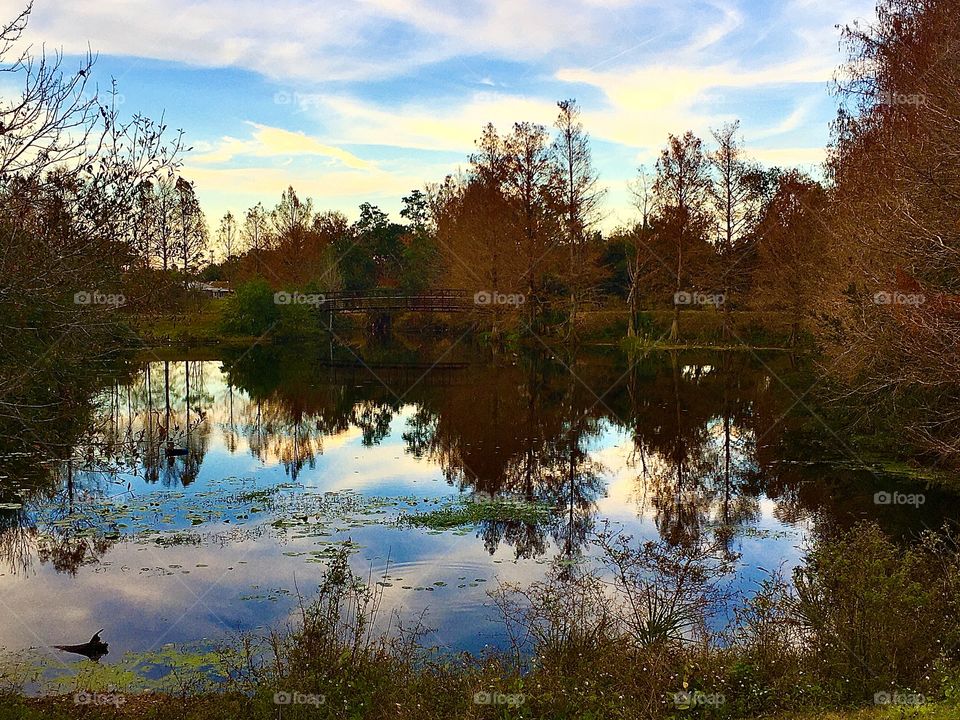 Chill mornings and still waters. I hear Autumn calling my name. 