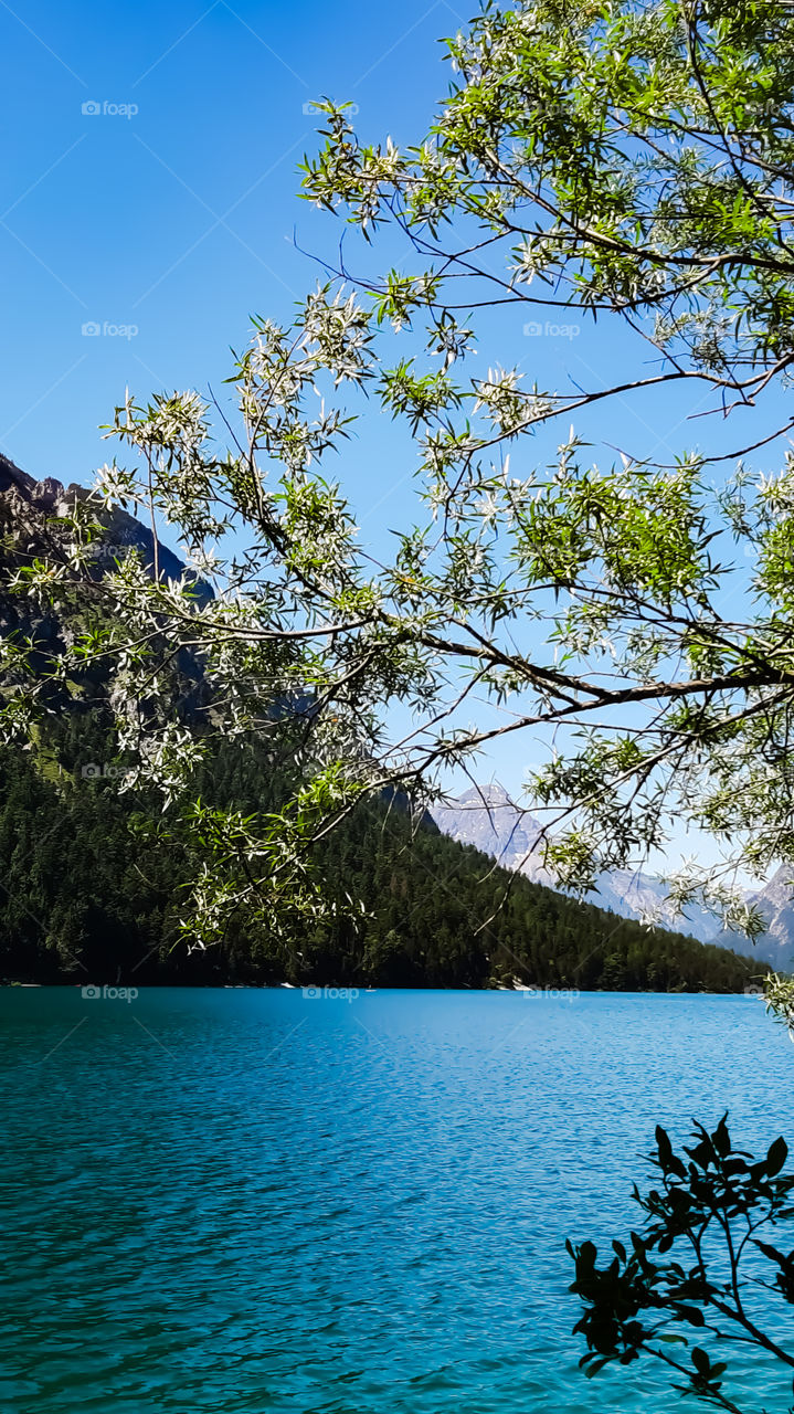 Plansee Tirol Austria