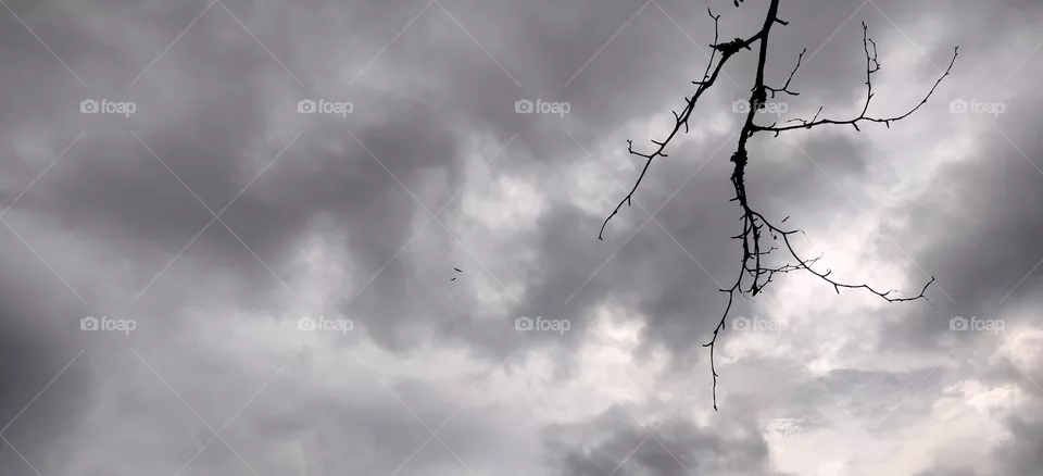 autumnal sky