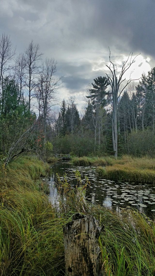 Webber Creek