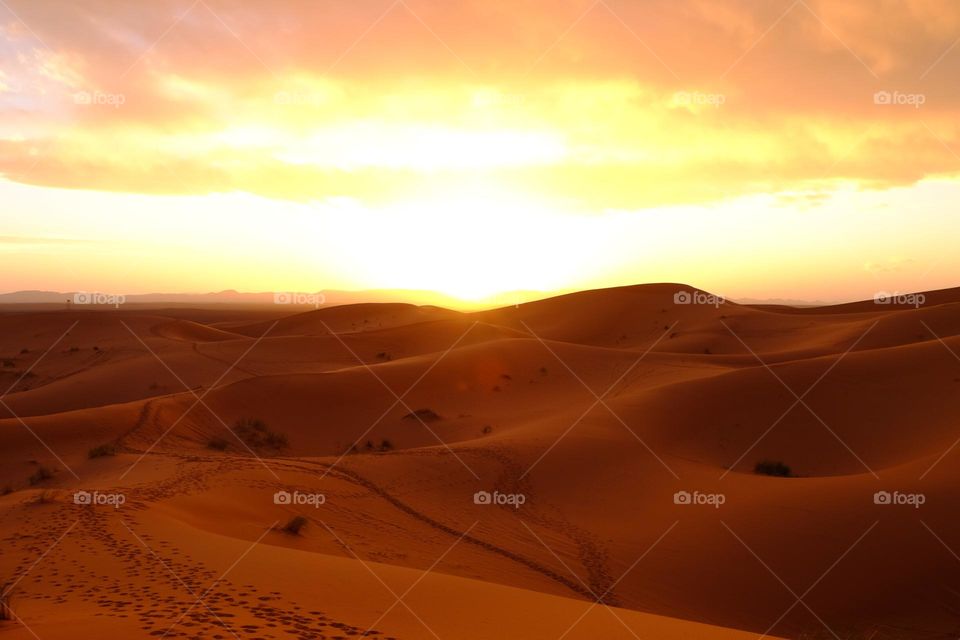 image of Dune Sand Desert