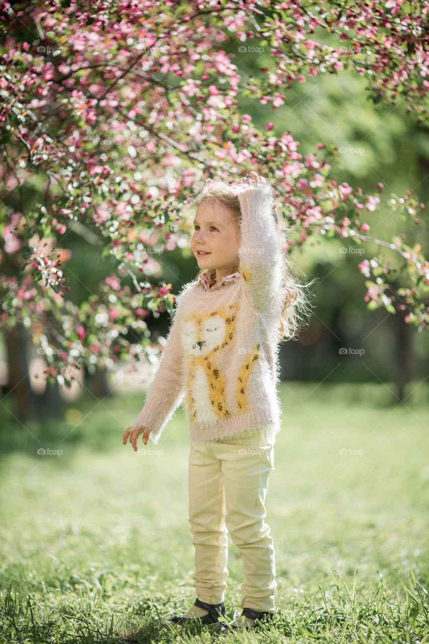 Cute Little girl in a blossom park