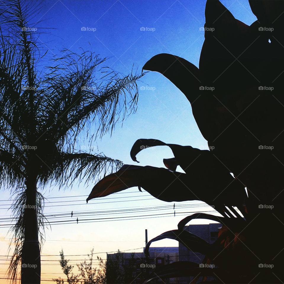 Desperte, #Jundiaí, com a manhã #fria e de #vento. Mesmo assim, há de ser uma ótima #SextaFeira!
🍃🙌🏻
#sol #sun #sky #céu #photo #nature #morning #alvorada #natureza #horizonte #fotografia 