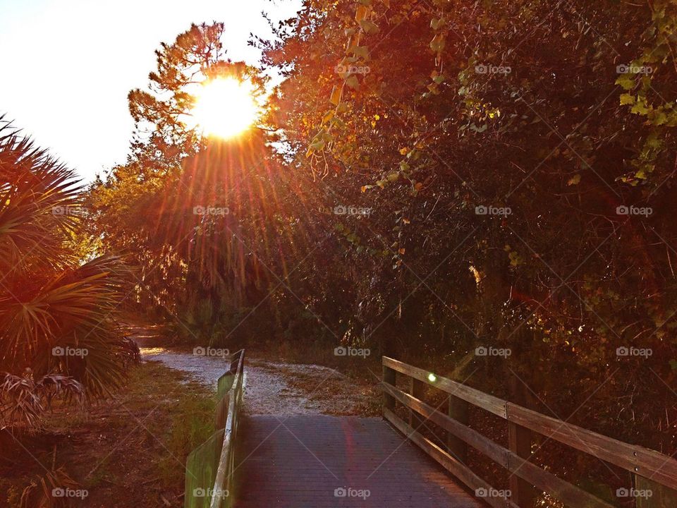 Sunrays on the boardwalk 