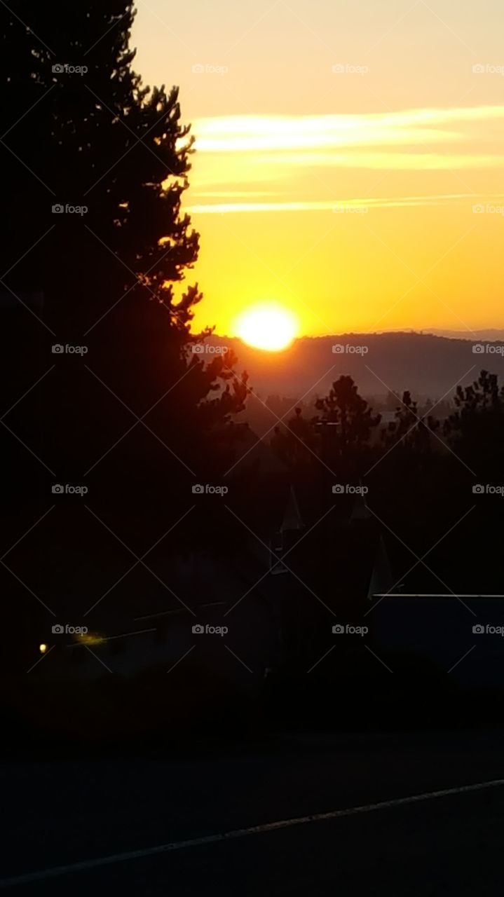 sunrise, morning, Sun trees, forest, sky, dawn