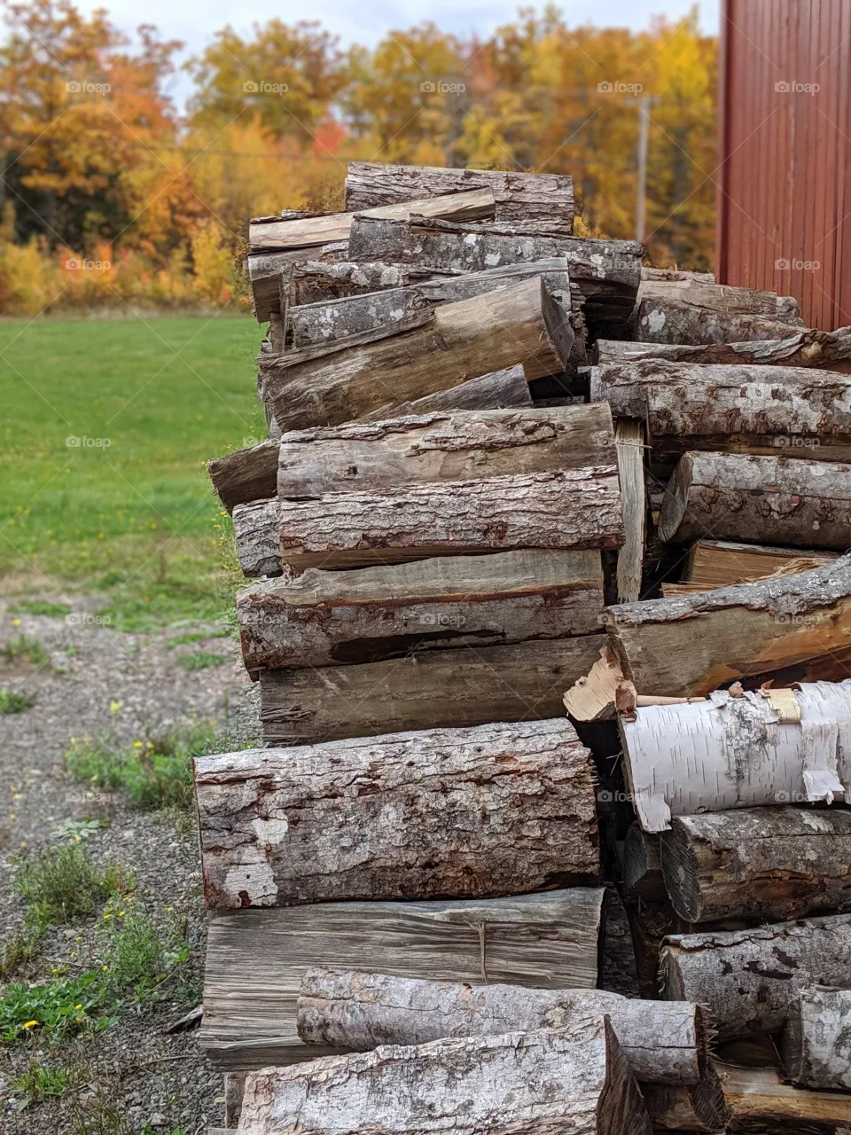 Firewood