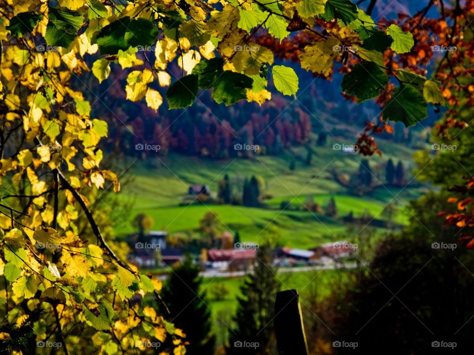Allgau frame of mind. Landscape from Algäu, Germany 