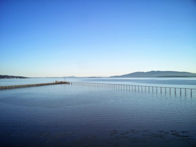 Coastal Blue