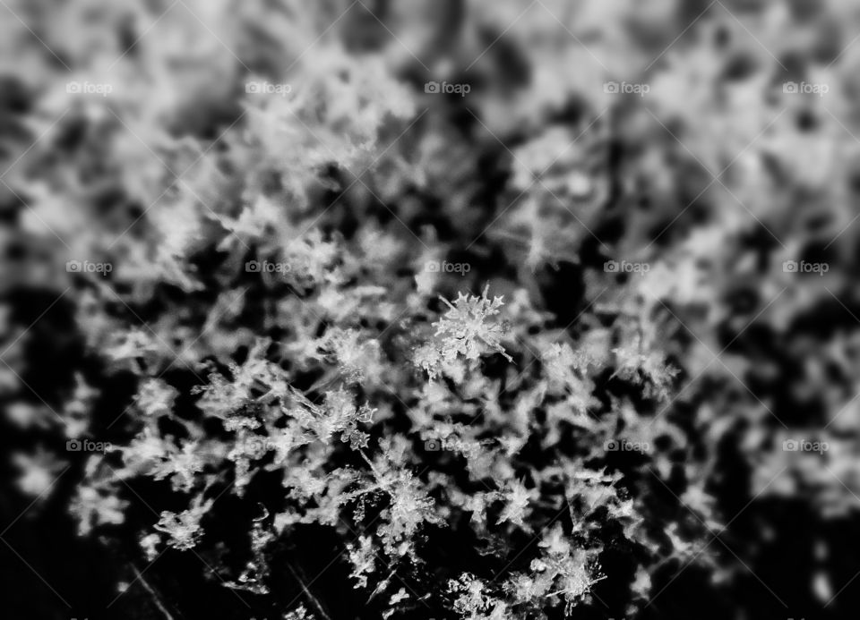 Pile of snowflakes on the deck 