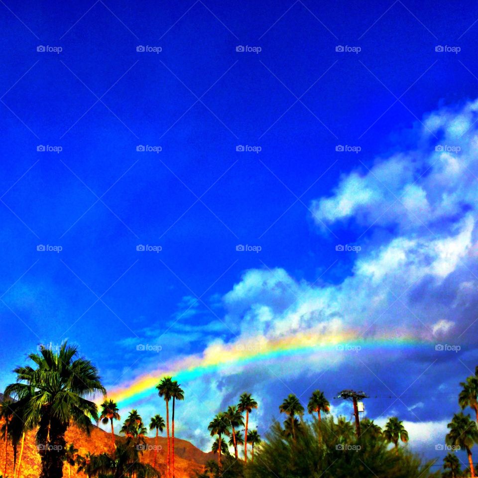 A rainbow day in the desert.