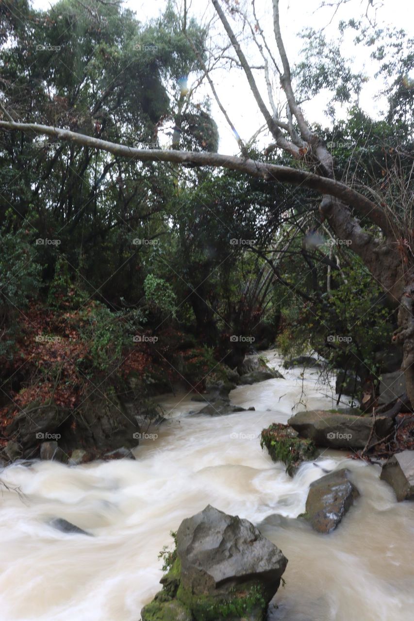 Strong flow in the river
