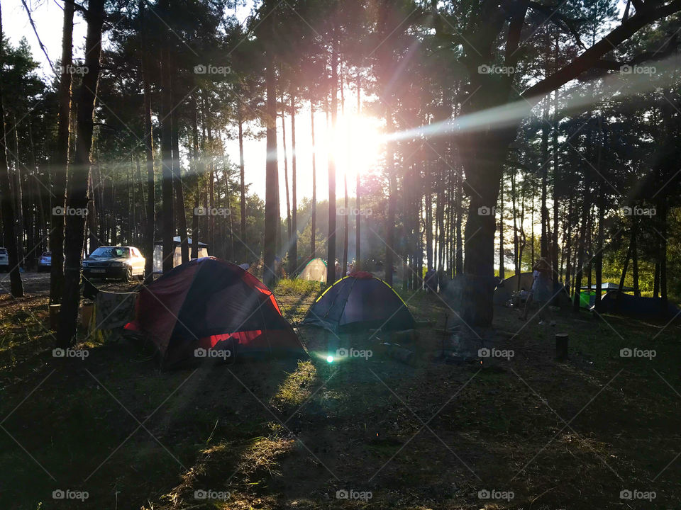 Camping in the forest. Sun bright 