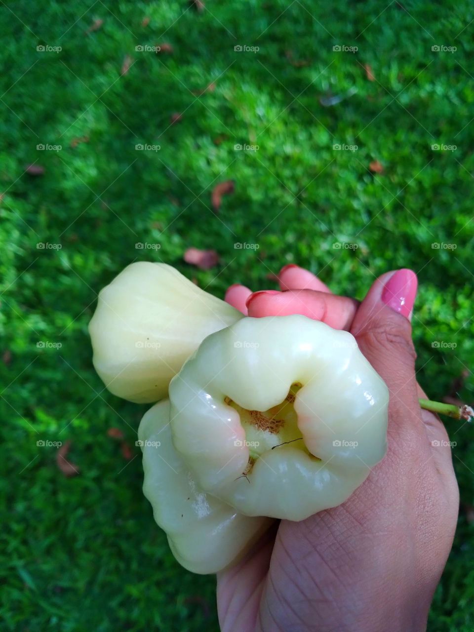 I am a…. Tree hugging, flower sniffing, nature lover
You are never alone when you are connected with nature...