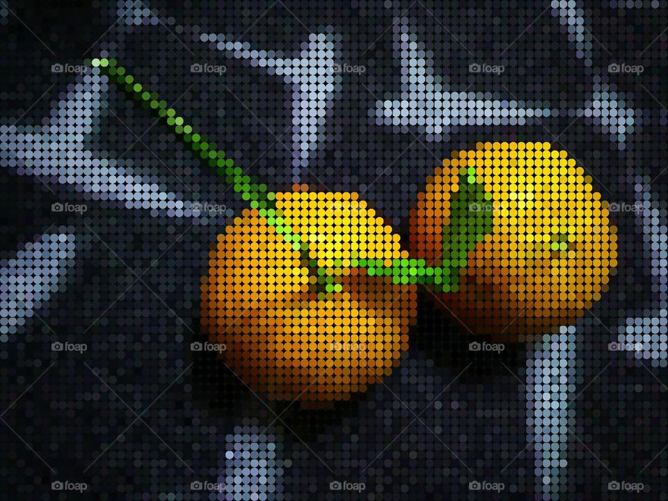 orange Mandarin in patterns style